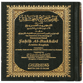 Lazy-loaded Summarized Sahih Al-bukhari