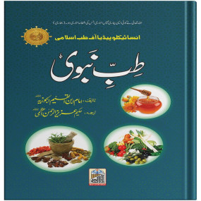 Lazy-loaded Tib e Nabvi